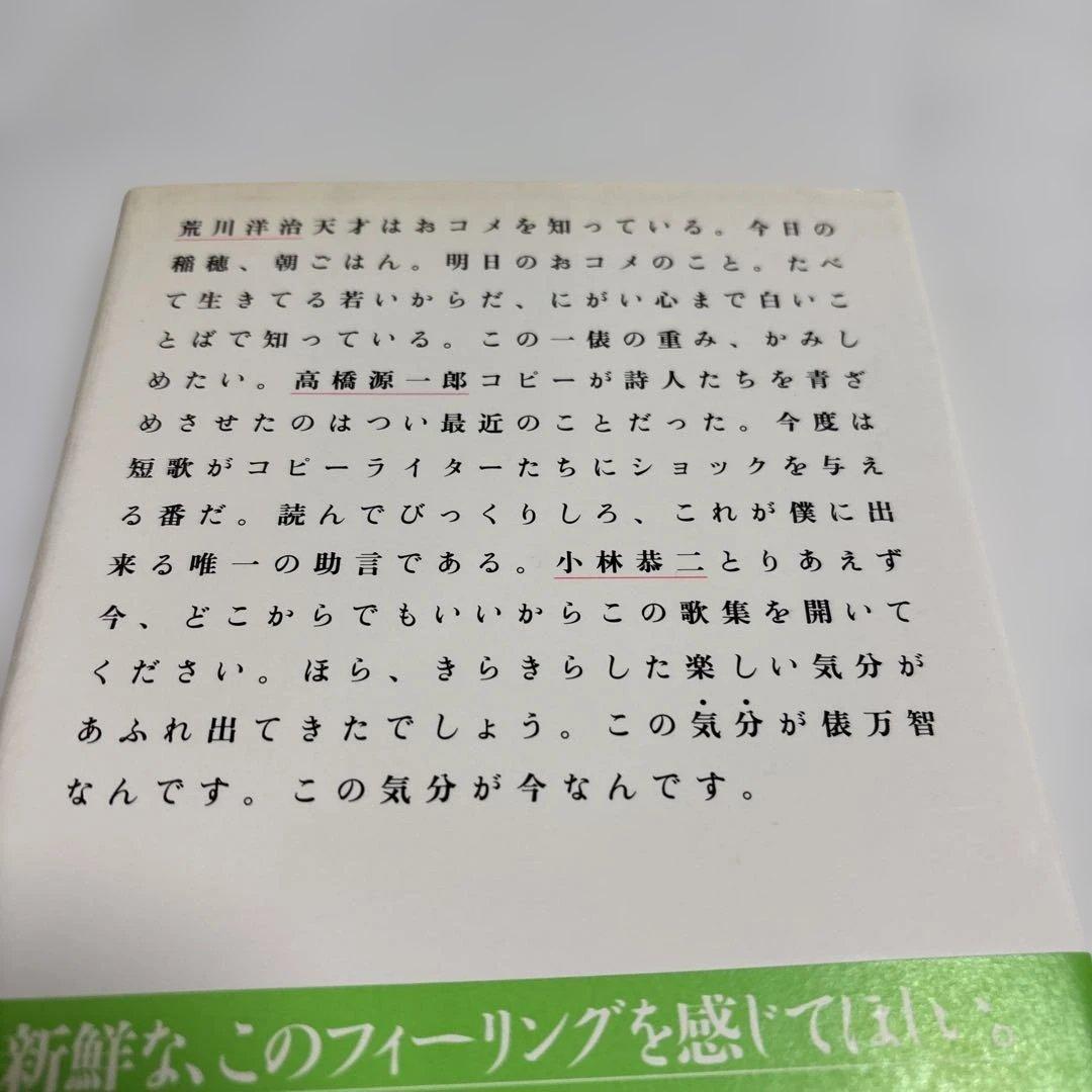サラダ記念日 俵万智 歌集 — image 3