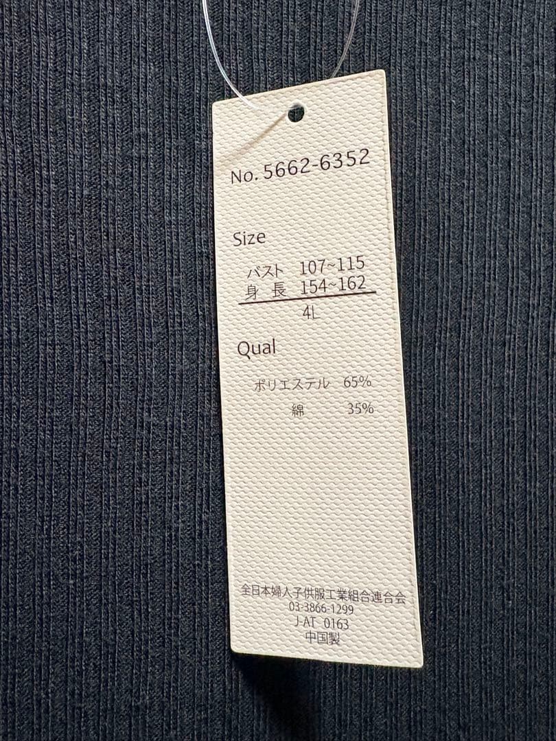 【大きいサイズ】メロウTシャツ 4L ブラック — image 3