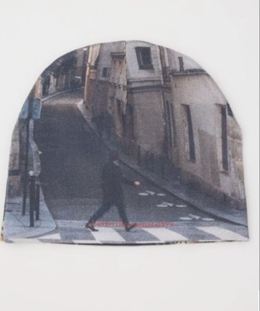 SLY スライ LANDSCAPE PHOTO BEANIE — image 4