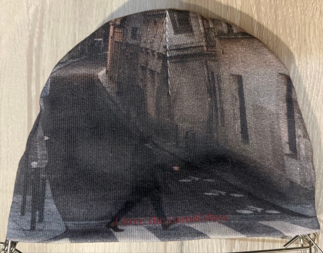 SLY スライ LANDSCAPE PHOTO BEANIE — image 5
