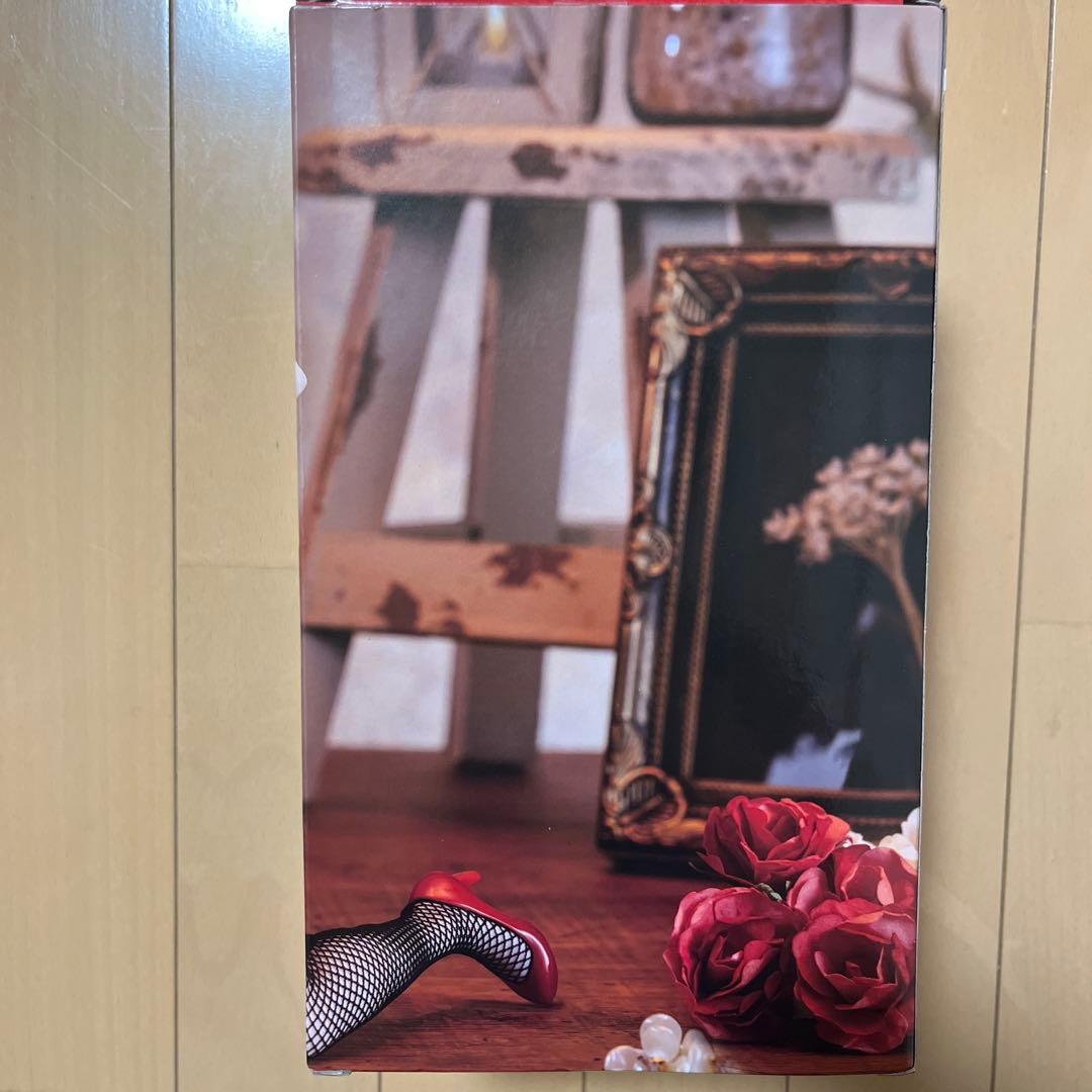 【新品・未開封】　ロシア語でデレる隣のアーリャさん　アーリャバニーVer.RED — image 3