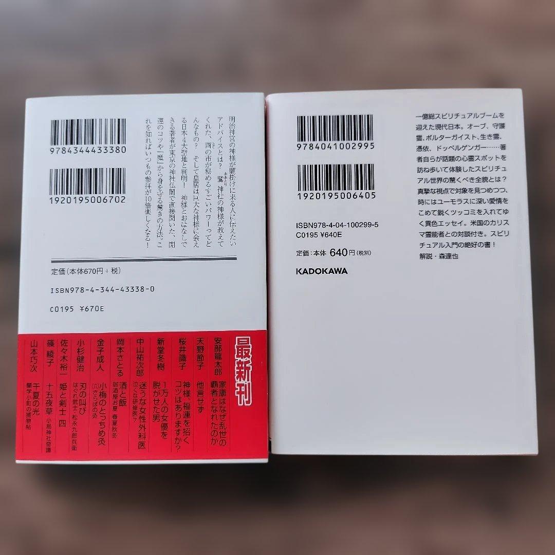 東京でひっそりスピリチュアル　霊道紀行　文庫本まとめ売り　2冊セット — image 2