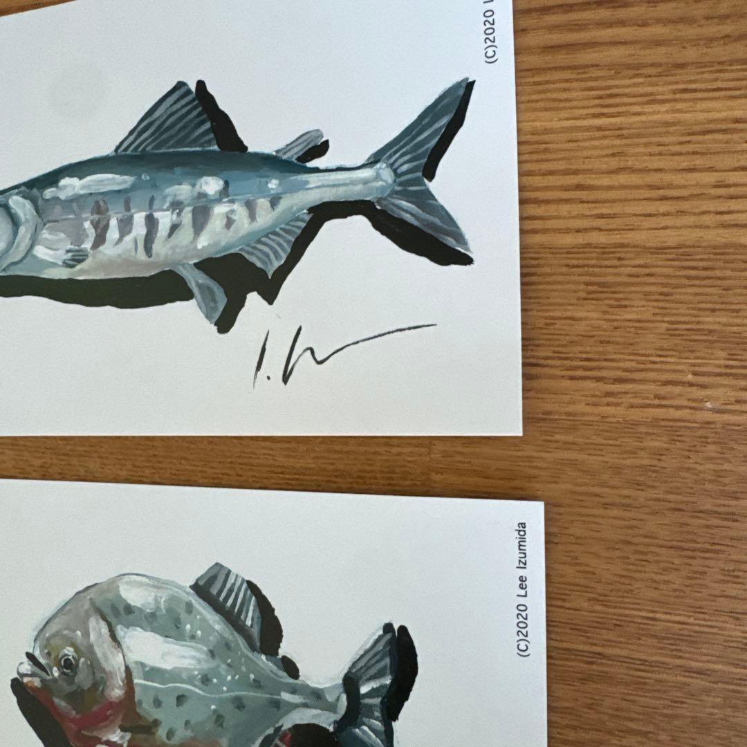 Lee Izumida 魚 ポストカード 2枚セット　リーイズミダ — image 2