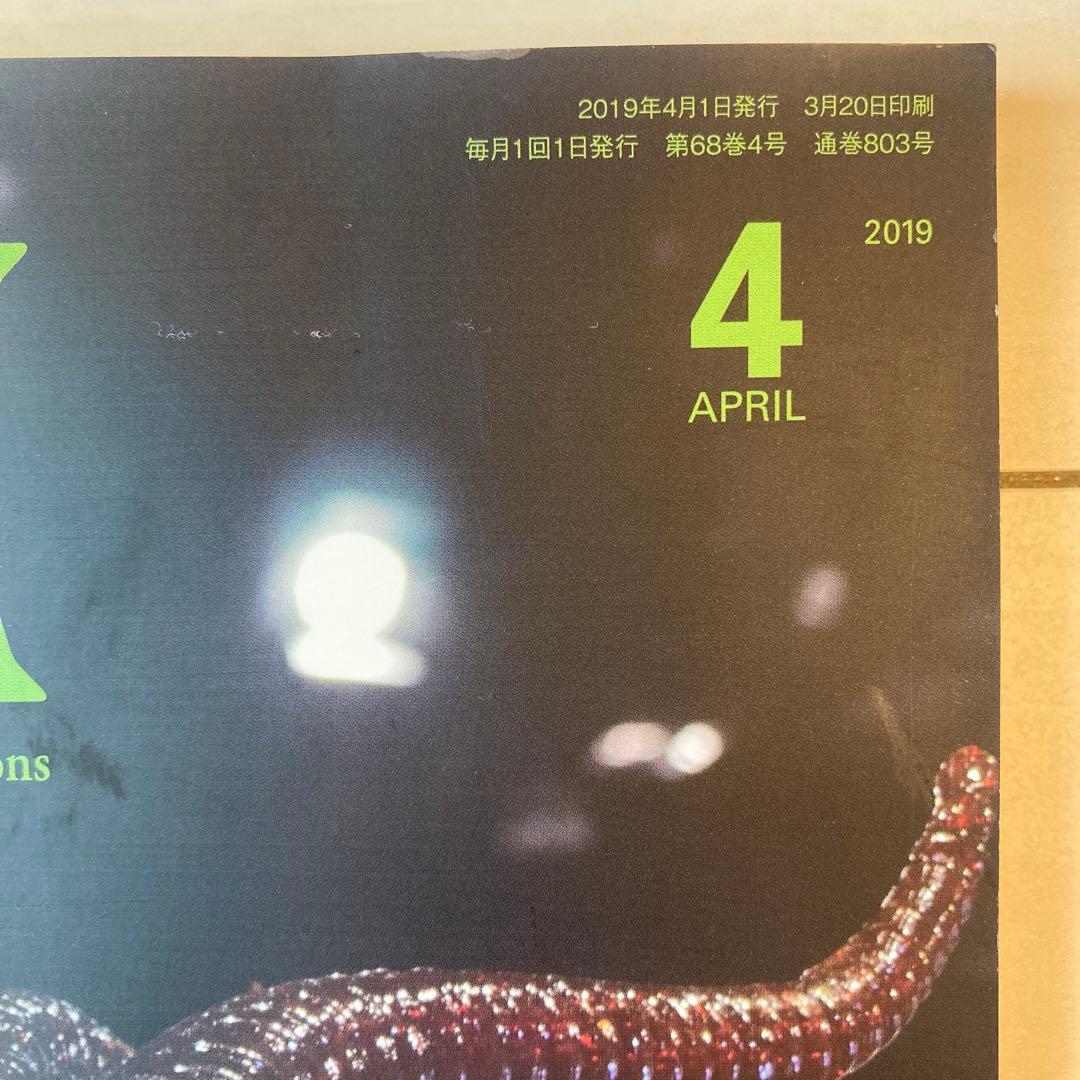 GÂTEAUX 2019年4月号 小規模店の戦略　洋菓子協会　非売品 — image 2