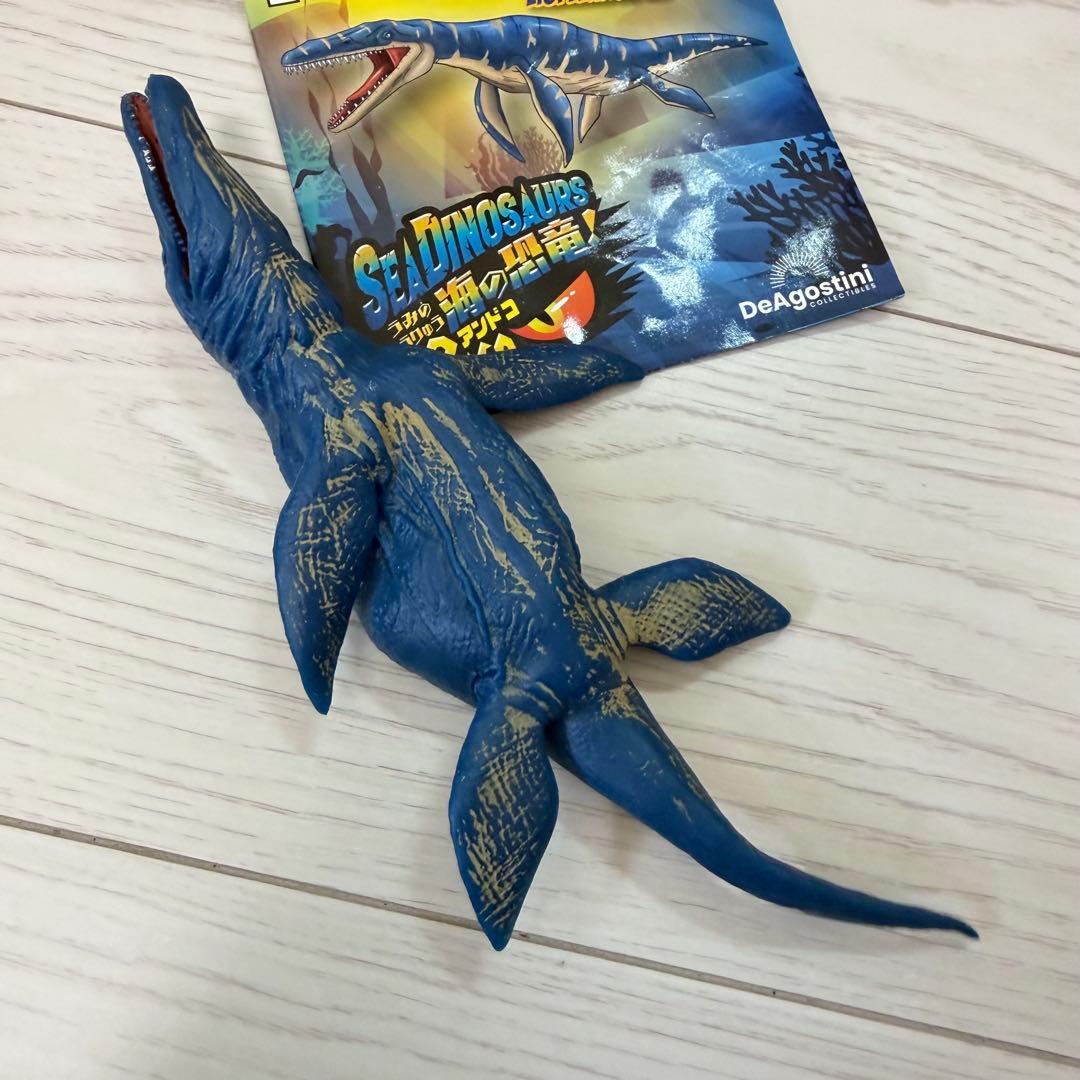 アンドコ リオプレウロドン — image 3