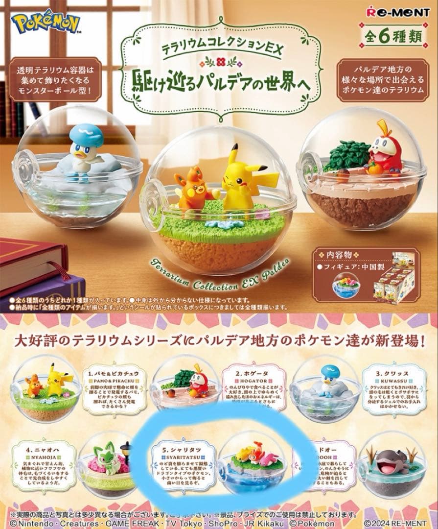 テラリウムコレクションEX シャリタツ — image 2