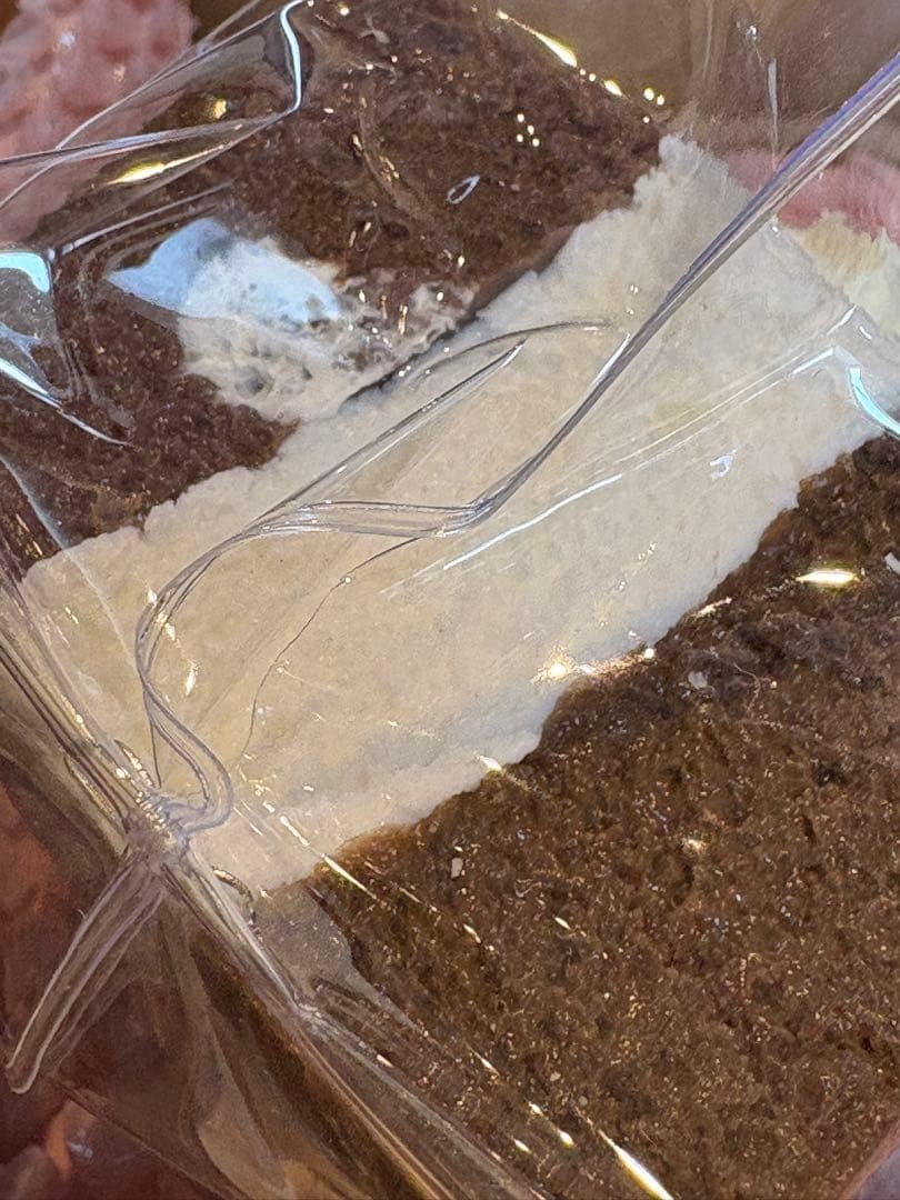 Kikisquishy チョコトースト XL 氷バター — image 3