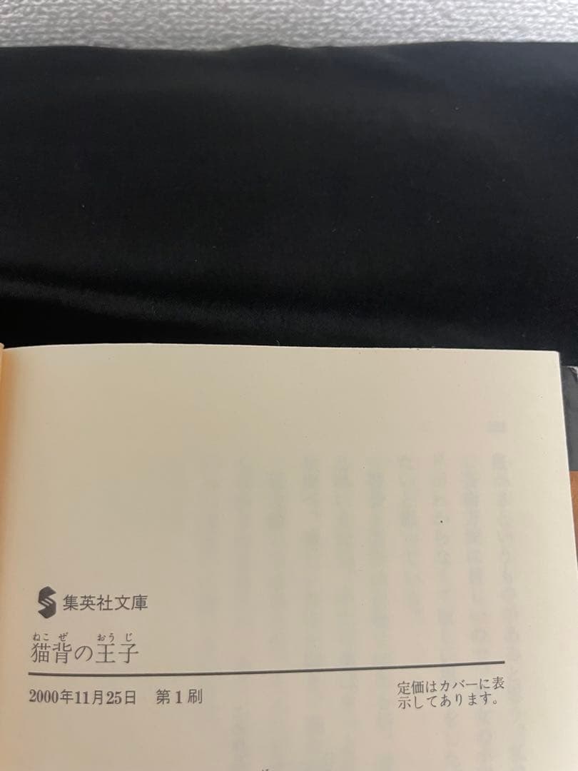 ぶ*。様 猫背の王子 中山可穂 — image 3