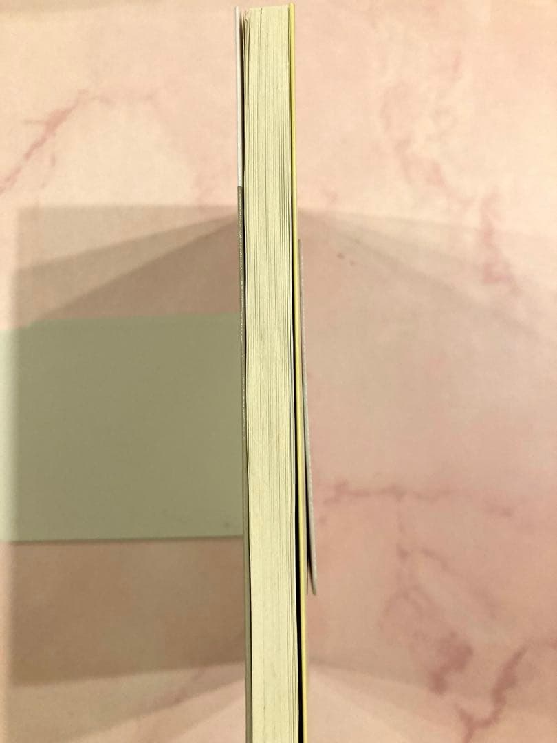ケチる貴方　石田夏帆　文庫本　美品　匿名配送 — image 4
