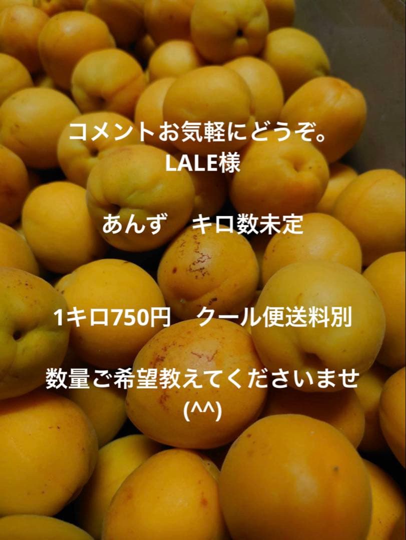 コメントお気軽にどうぞ。LALE様専用　クール便送料別 — image 2