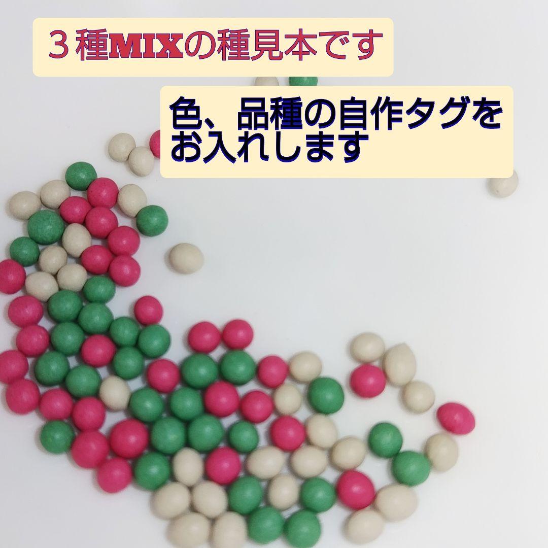 ❣️ミックス❣️人参種３種各30粒で合計90粒♡2026年３月購入種 — image 2