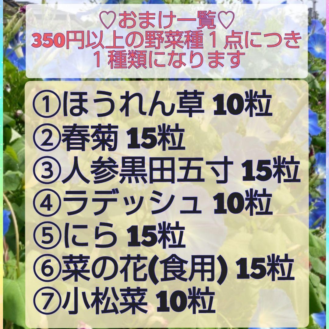 ❣️ミックス❣️人参種３種各30粒で合計90粒♡2026年３月購入種 — image 3