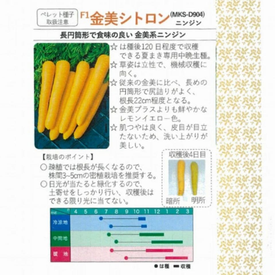 ❣️ミックス❣️人参種３種各30粒で合計90粒♡2026年３月購入種 — image 5