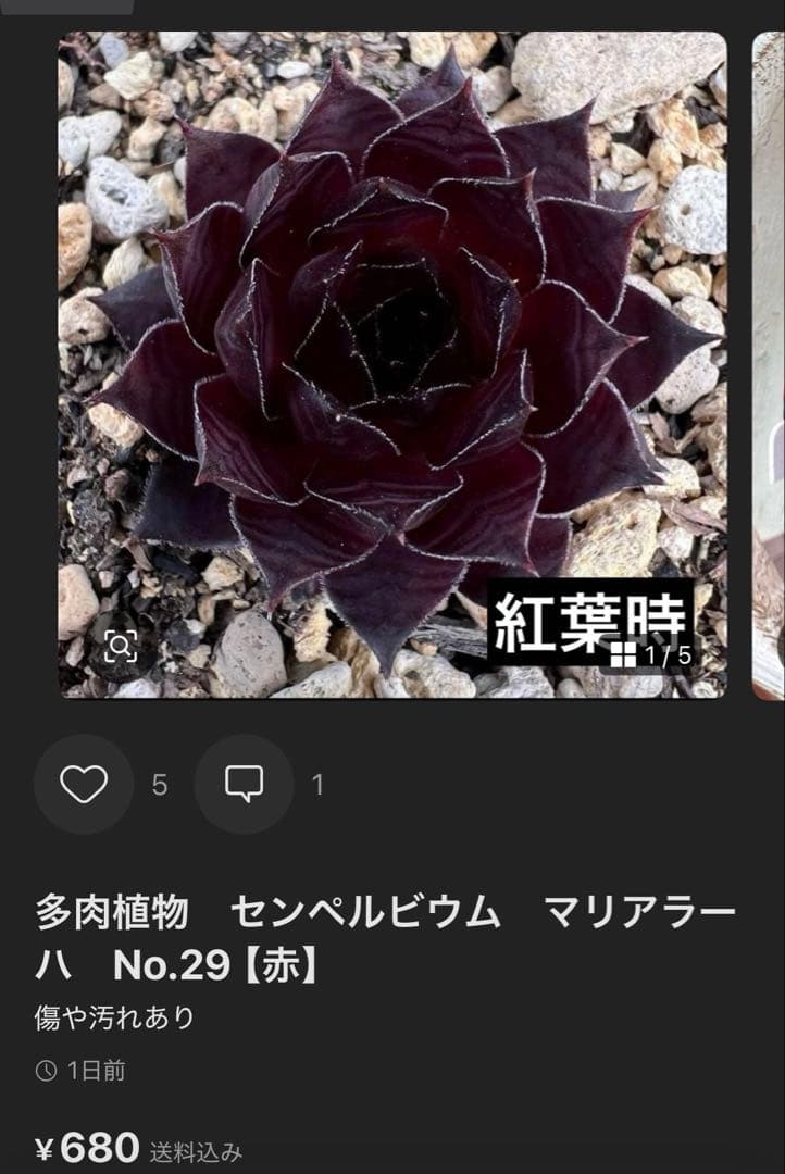 getter♪様おまとめ — image 2