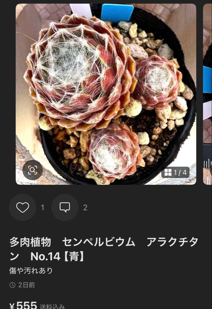 getter♪様おまとめ — image 3