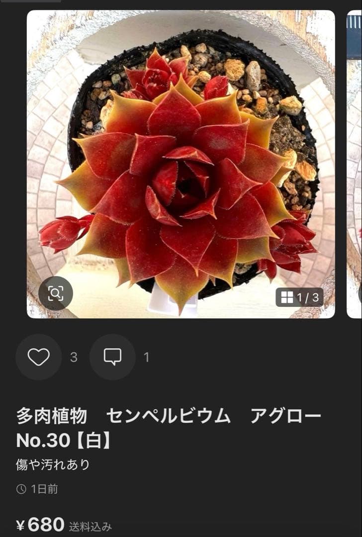 getter♪様おまとめ — image 4