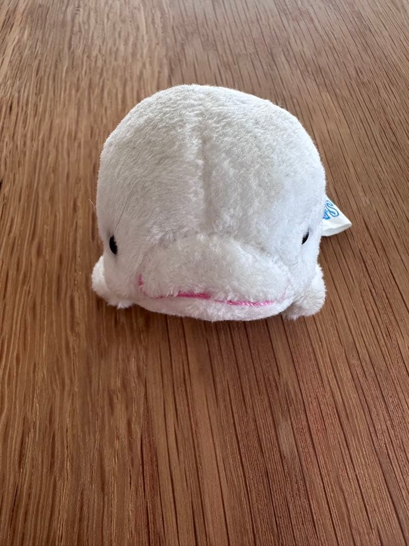 【美品】水族館　ラッコ　イルカ(ベルーガ)　セイウチ　ぬいぐるみ マスコット — image 4