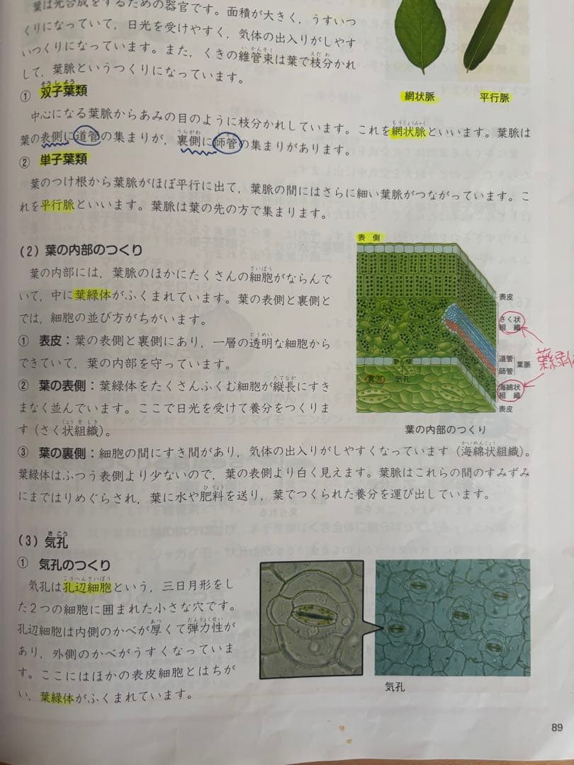 予習シリーズ 理科 5年上 四谷大塚 — image 5