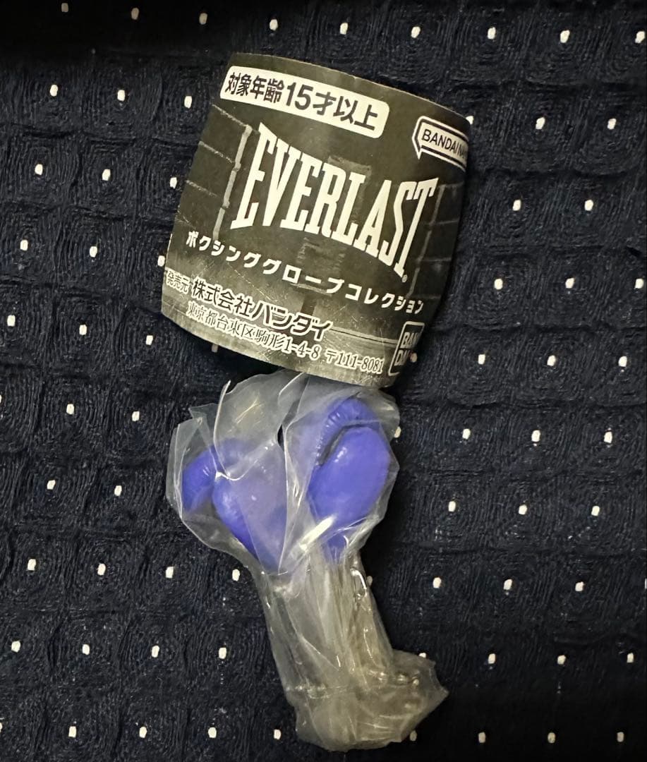 ガチャ EVERLAST ボクシンググローブコレクション キーホルダー　青 — image 2