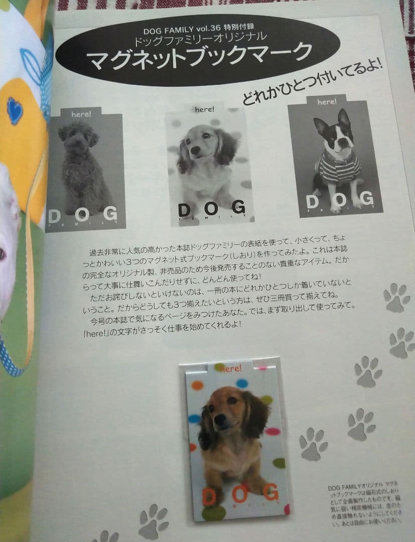 ドッグファミリー　クレアキャット　雑誌 — image 4