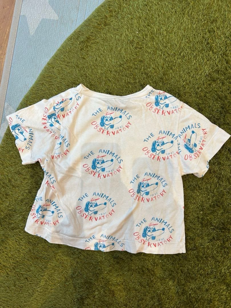 TAO 犬　総柄　90 95 100 110 — image 2
