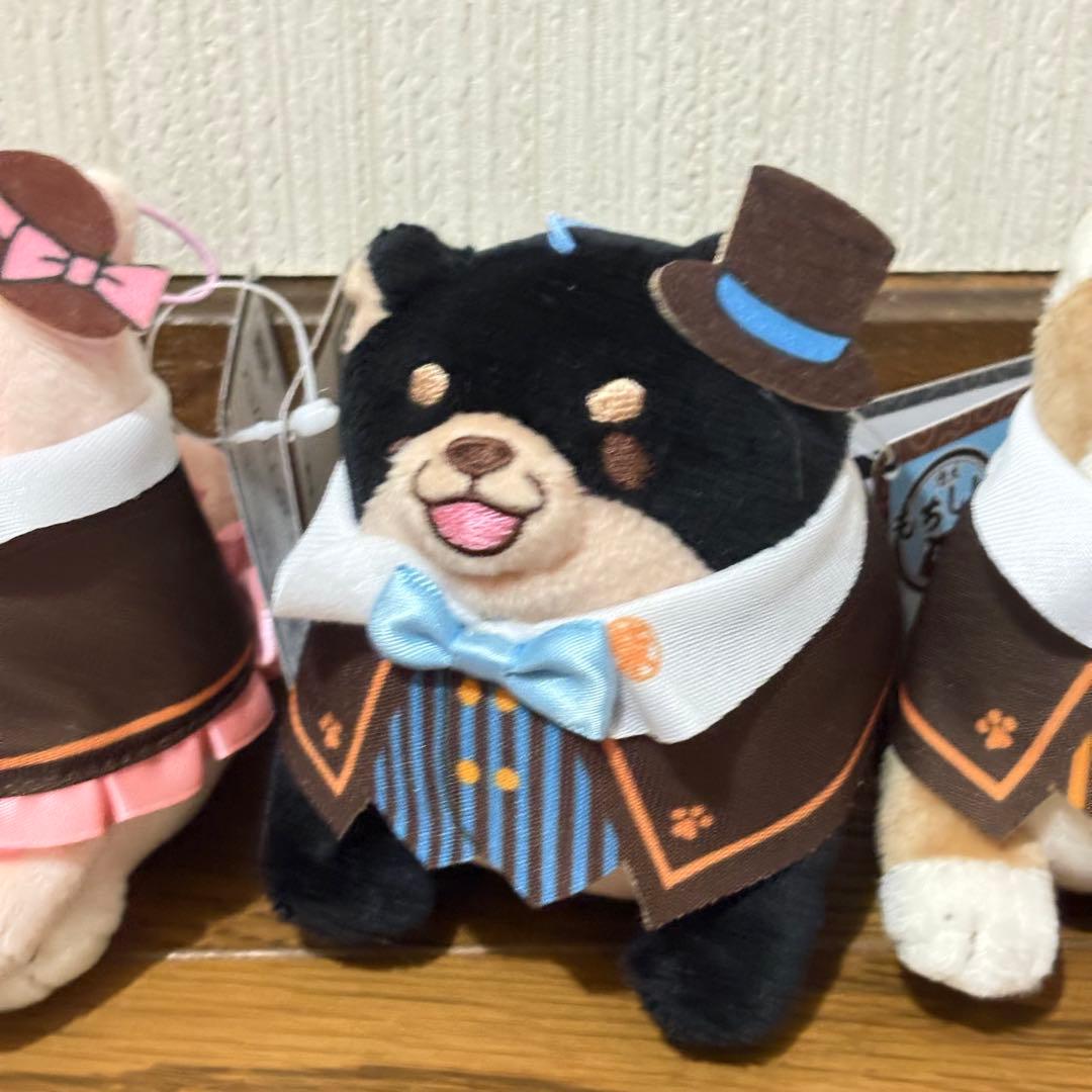 忠犬　もちしば　柴犬 ぬいぐるみ 3体セット　ストラップ　マスコット新品タグ付き — image 3