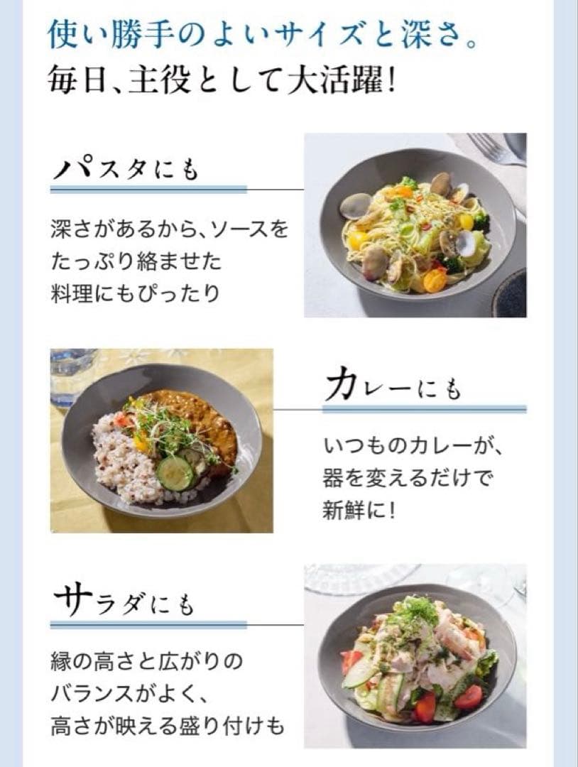 アテニア　ノベルティ　皿　IDÉE監修 美濃焼 メインプレート 1枚 — image 3
