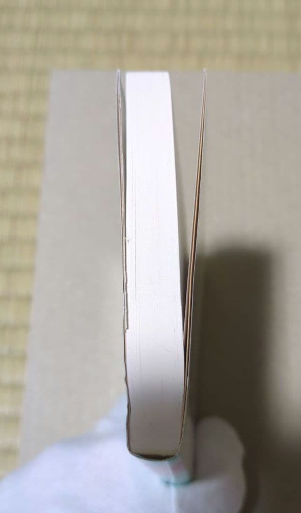 1リットルの涙 難病と闘い続ける少女亜也の日記 — image 3