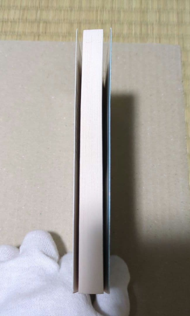 1リットルの涙 難病と闘い続ける少女亜也の日記 — image 4
