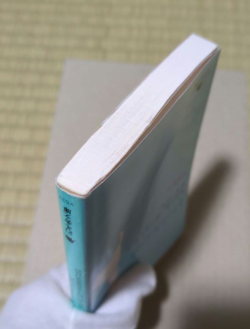 1リットルの涙 難病と闘い続ける少女亜也の日記 — image 5