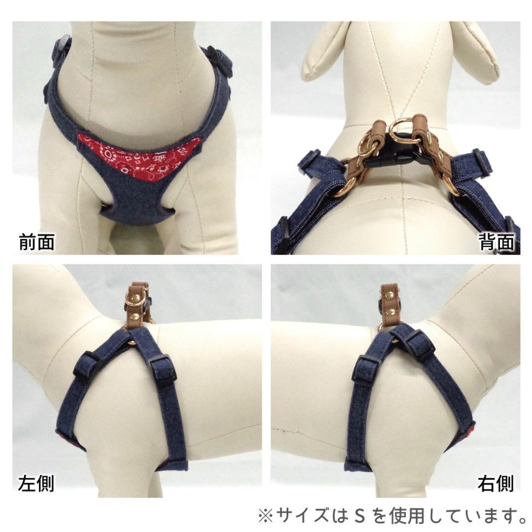 アゼリア ジョニーハーネス アクア — image 3