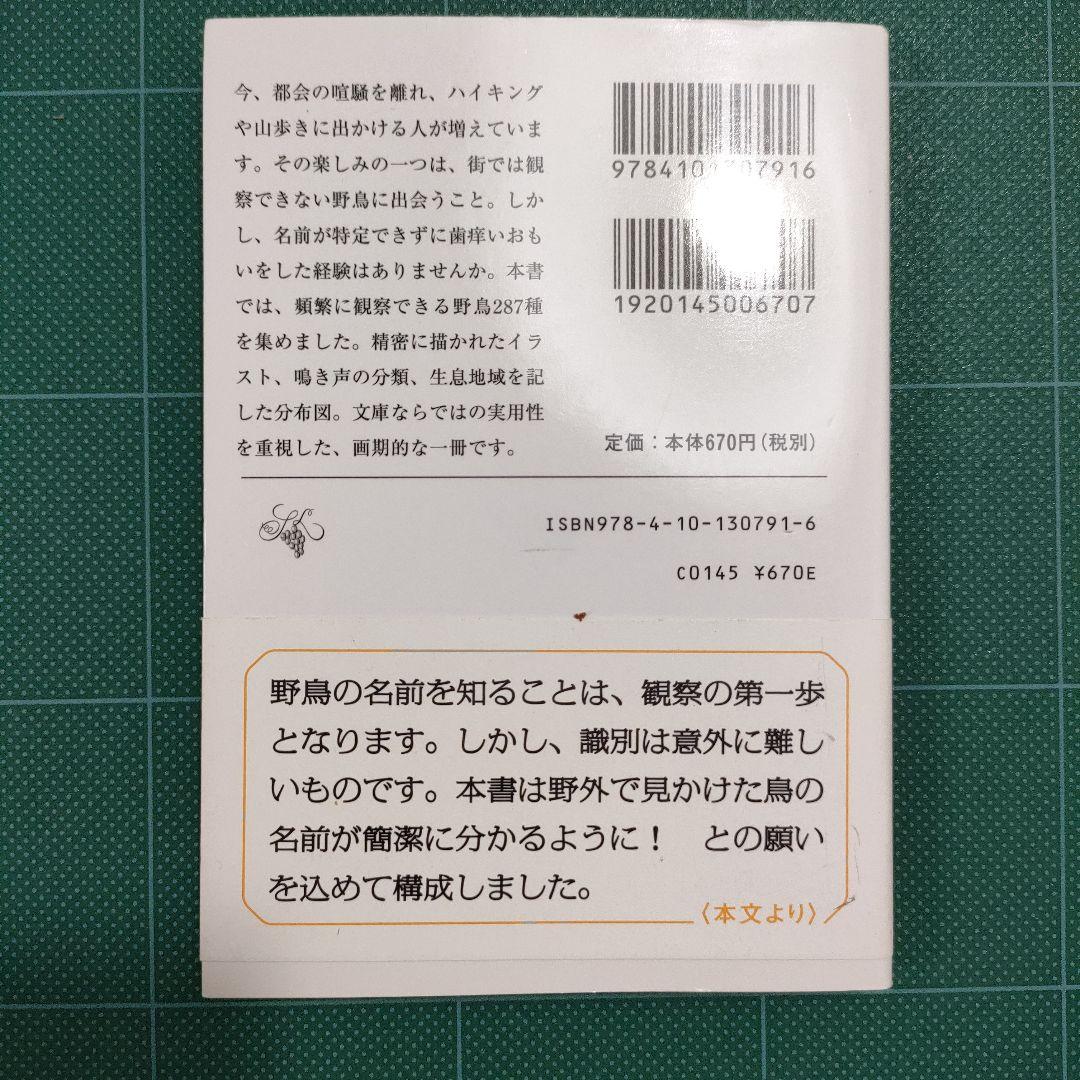 ひと目で見分ける287種 野鳥ポケット図鑑 — image 3