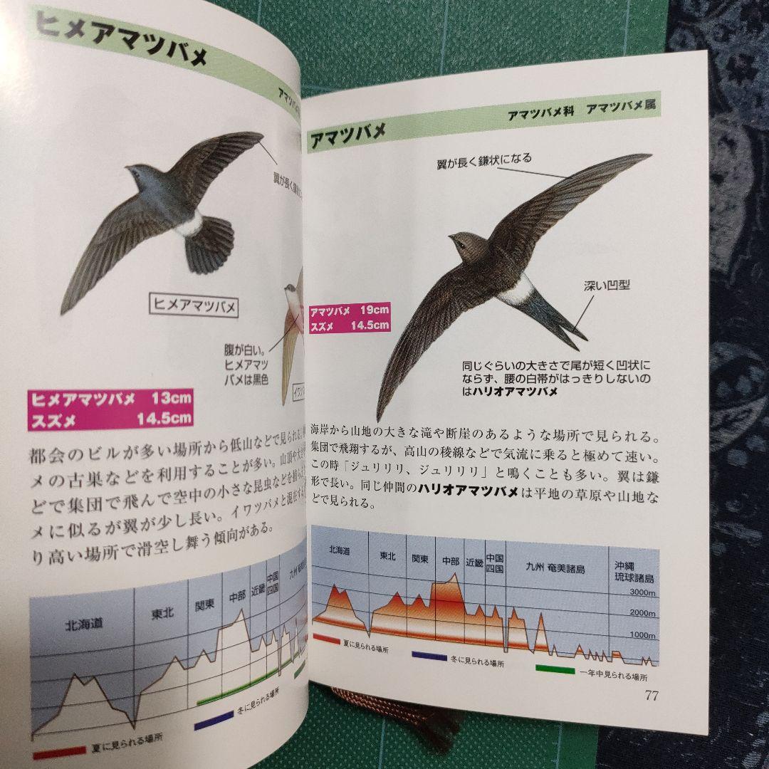 ひと目で見分ける287種 野鳥ポケット図鑑 — image 4