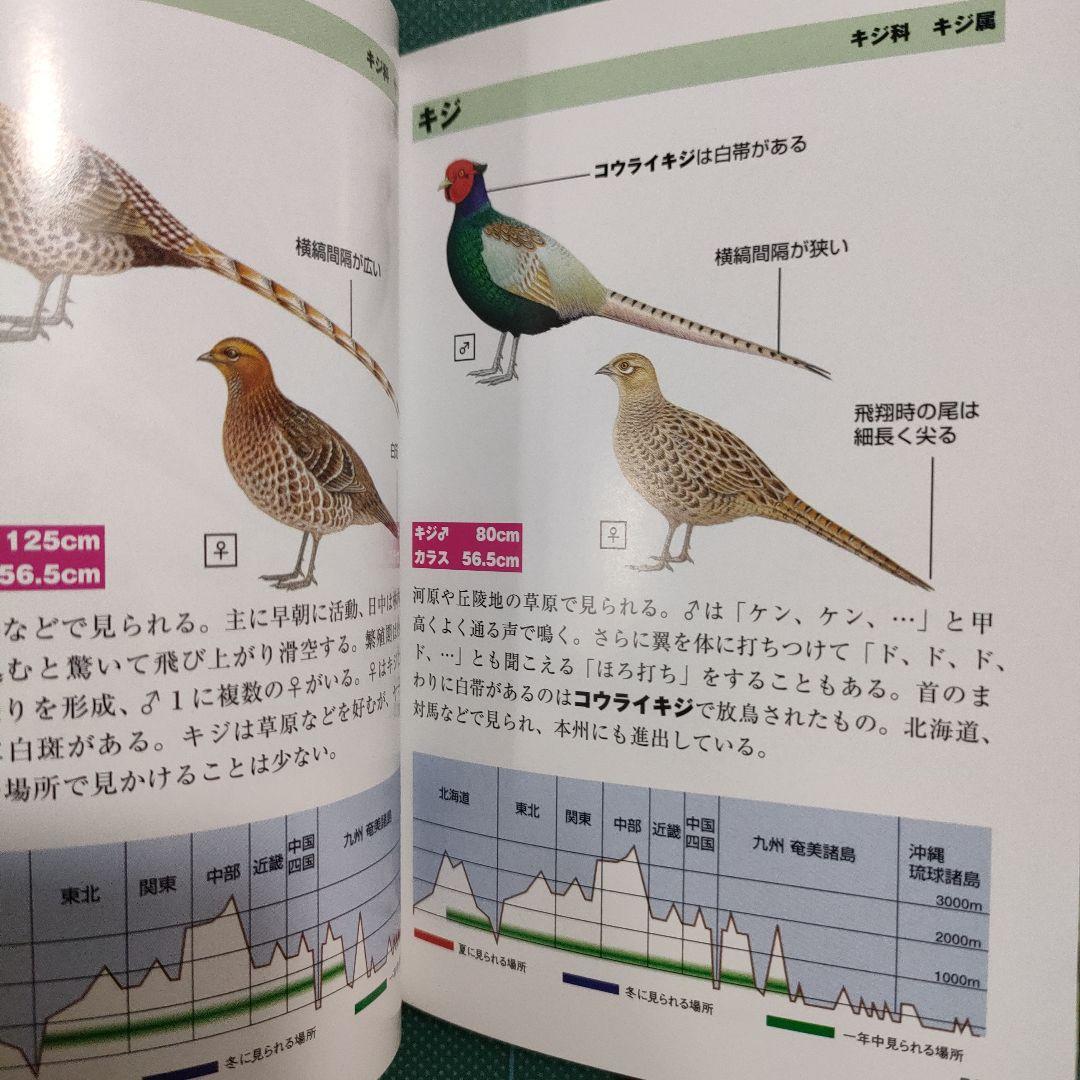 ひと目で見分ける287種 野鳥ポケット図鑑 — image 5