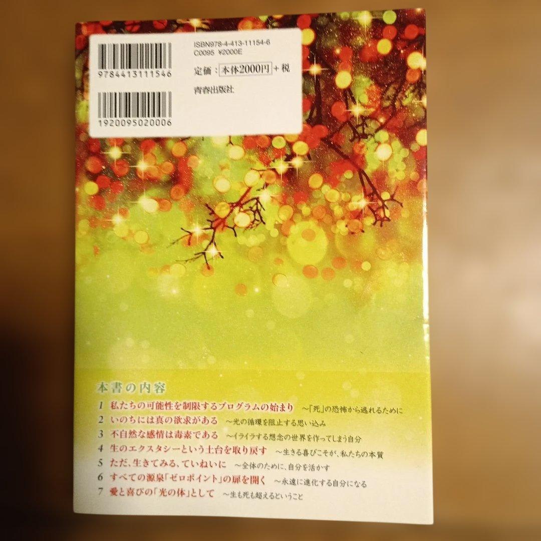 光 無限のいのちを生きる Mana — image 2