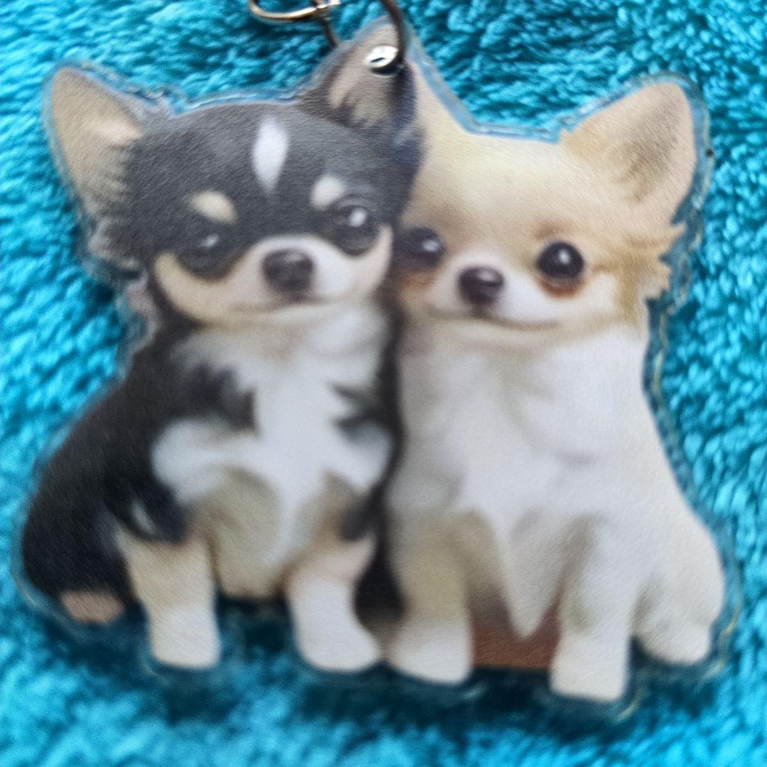 新品未使用で可愛いチワワ アクリルキーホルダーです — image 4