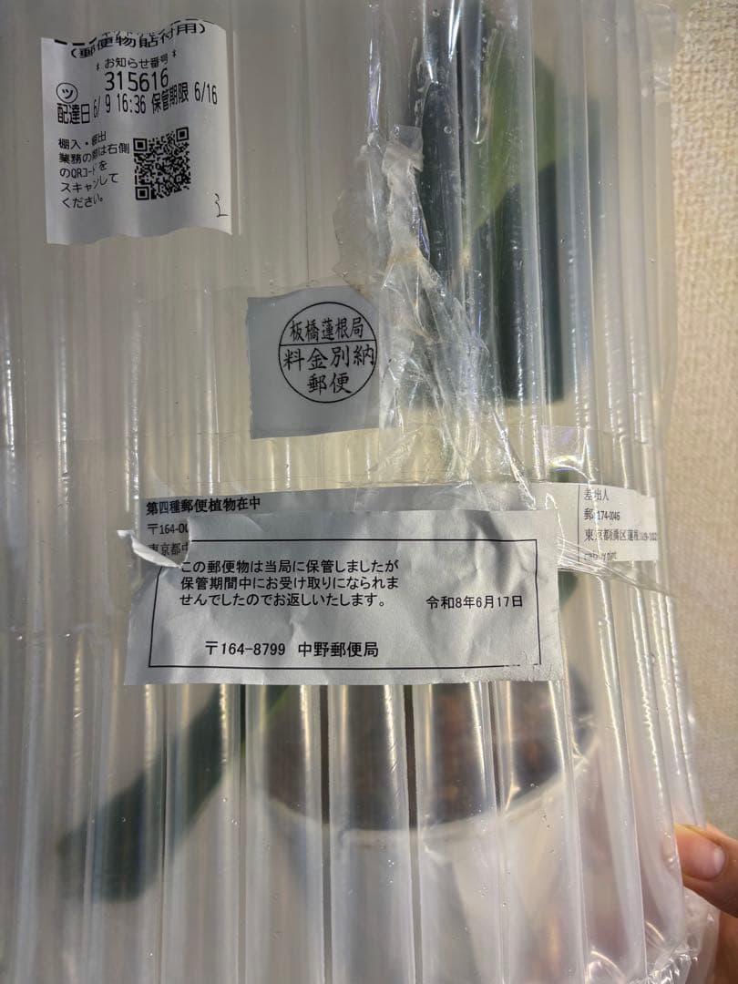 【Jennyjk様専用】 — image 2