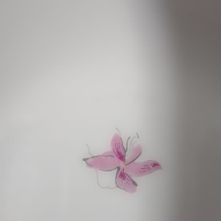 花柄陶器ボウル5個セット　値下げ — image 4
