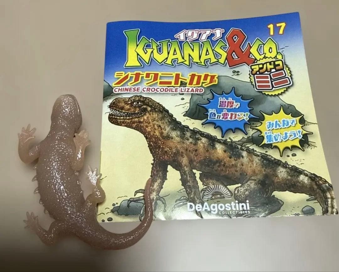 イグアナ＆coミニ シナワニトカゲ 未使用 17 — image 2