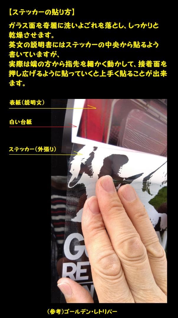 ❤ポーチュギーズ・ウォーター・ドッグ/ウォータードッグ① 外張り カーステッカー — image 5