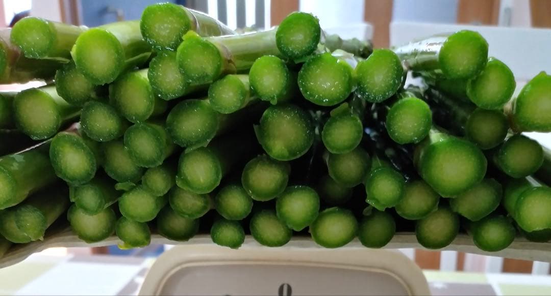 長野県信州産アスパラガス 500ｇ — image 2