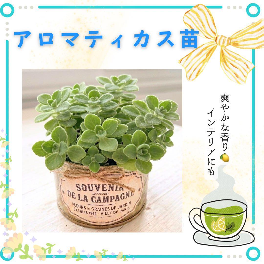 専用　みみ様 — image 2