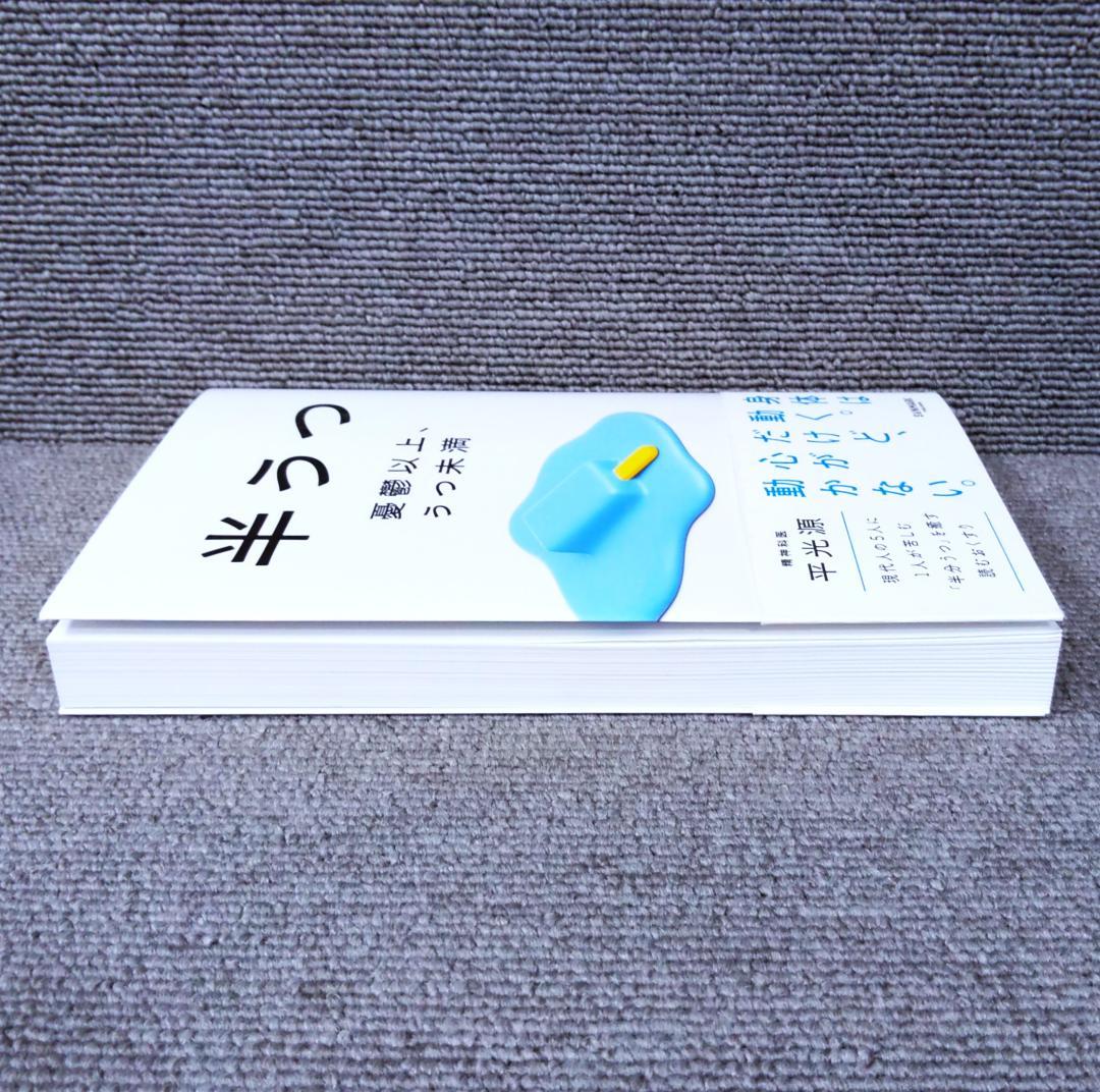 半うつ 憂鬱以上、うつ未満 — image 3
