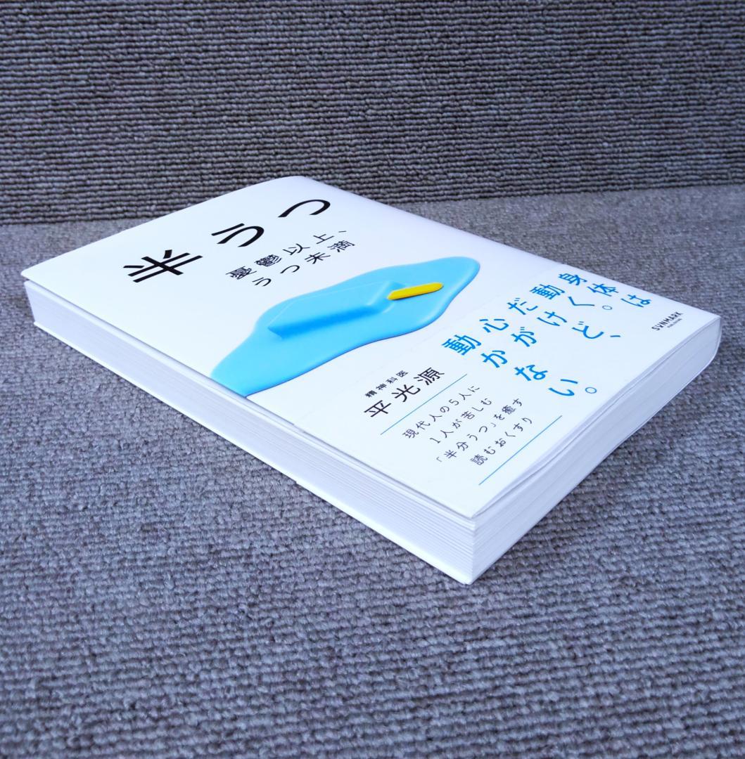 半うつ 憂鬱以上、うつ未満 — image 4