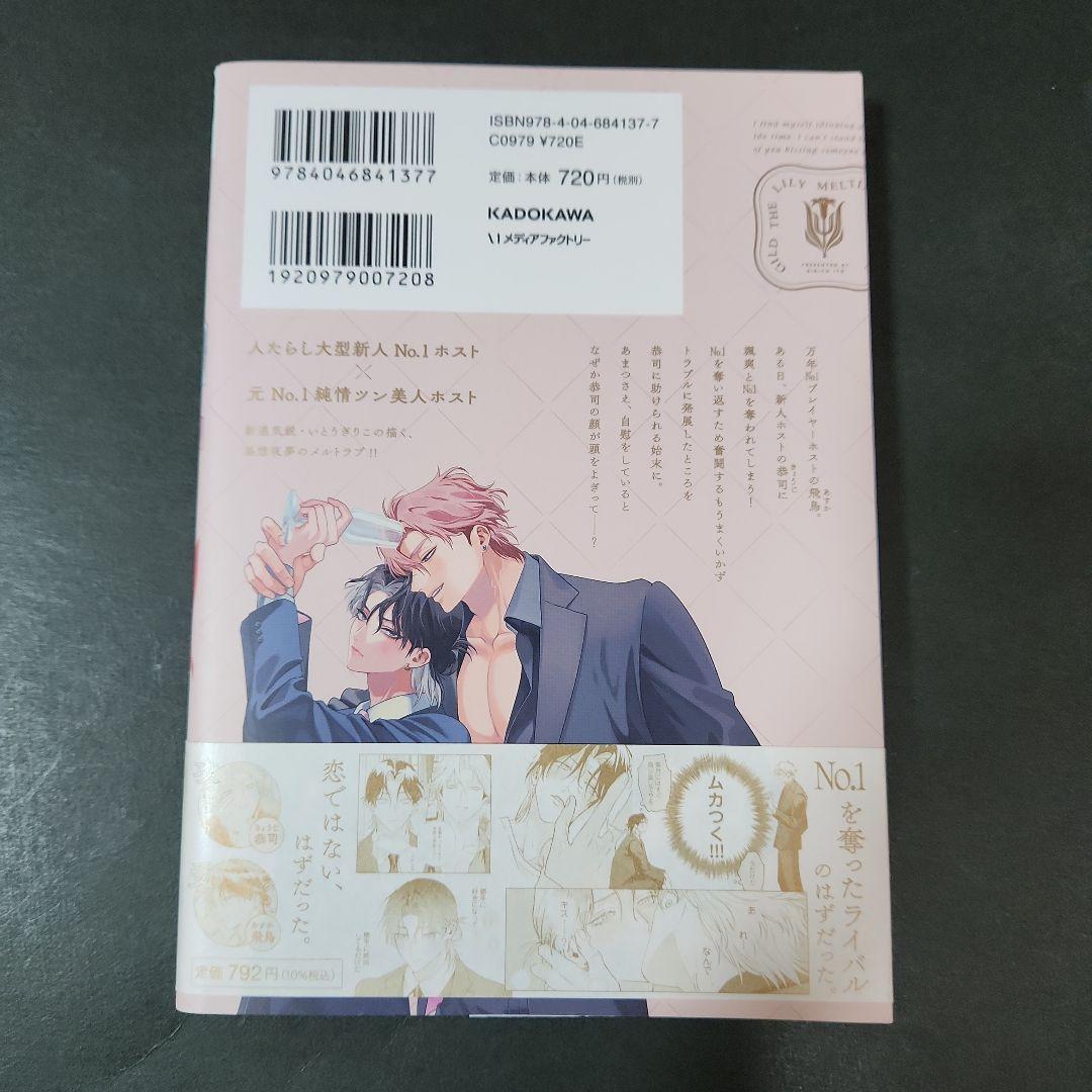 「恋でとろけるギルド・ザ・リリー」いとうぎりこ　BLコミック — image 2