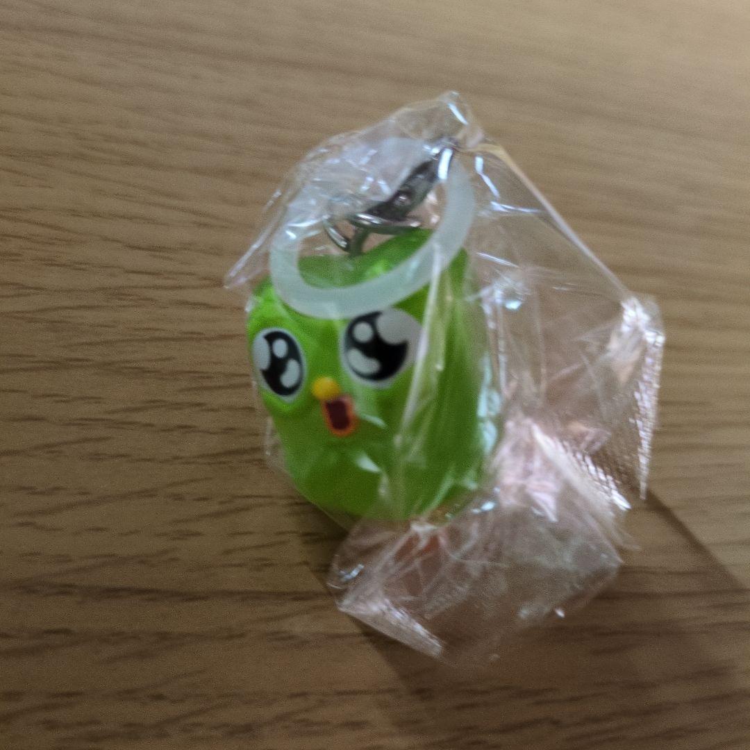 Duolingo めじるしアクセサリー わくわくデュオ — image 2