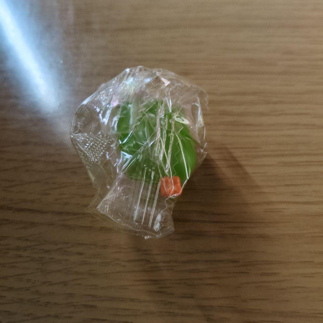Duolingo めじるしアクセサリー わくわくデュオ — image 3