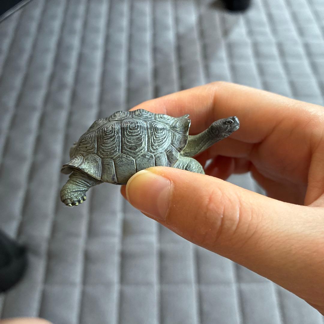 リクガメ フィギュア ミニチュア — image 2