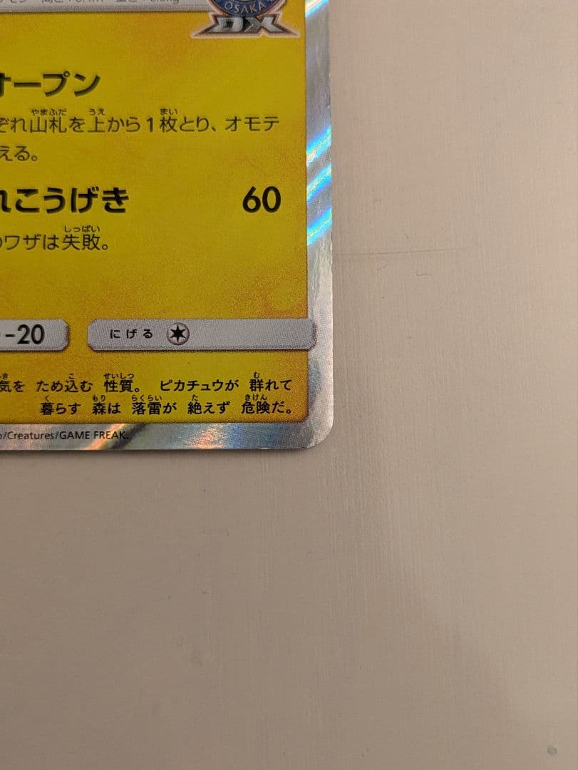 漫才ごっこピカチュウ とトウホクのピカチュウ — image 4