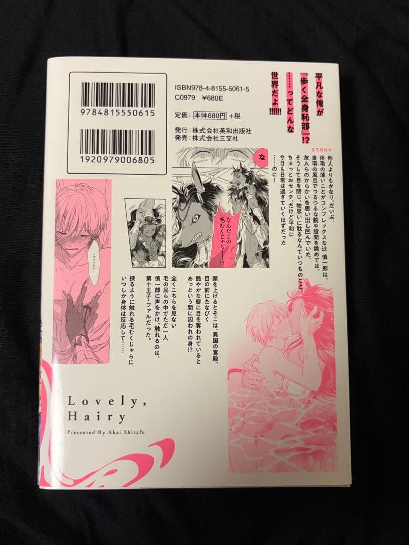 いとしの毛むくじゃら 赤いシラフ BLコミック — image 2